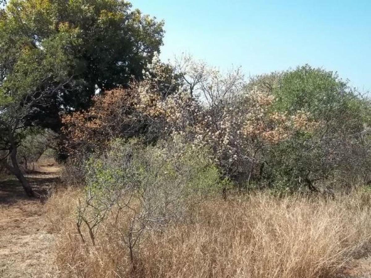 Aloes Bush Stay Hoedspruit Bagian luar foto