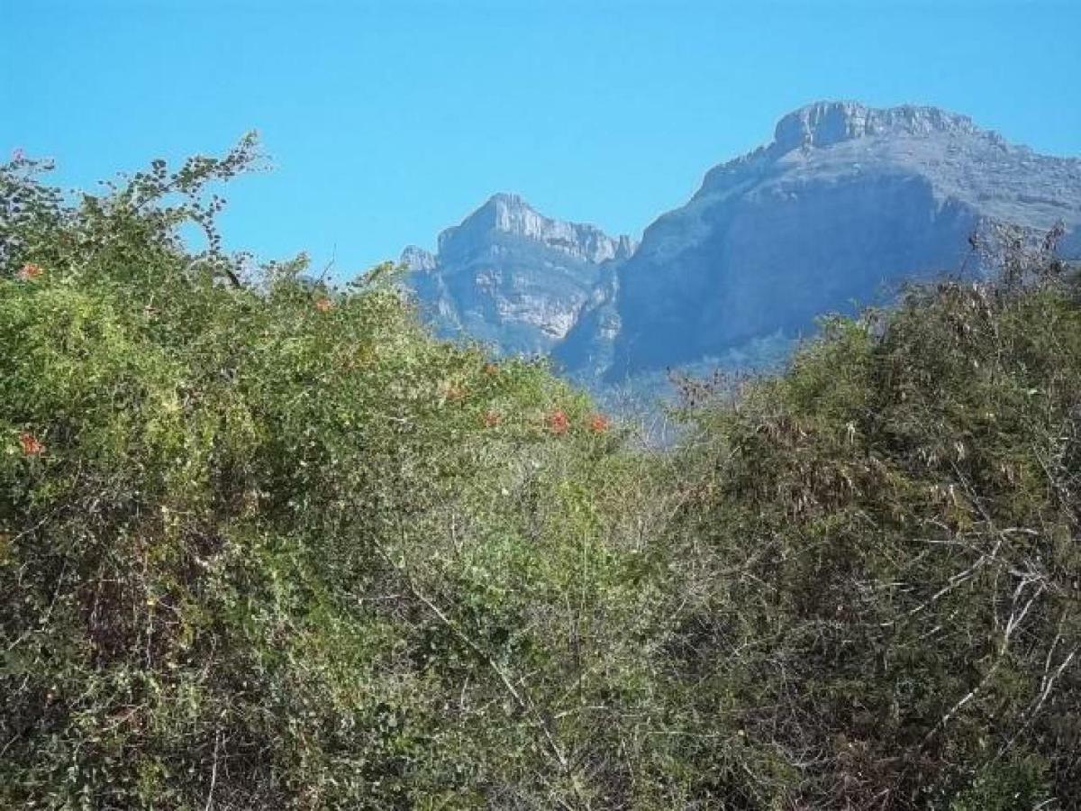 Aloes Bush Stay Hoedspruit Bagian luar foto