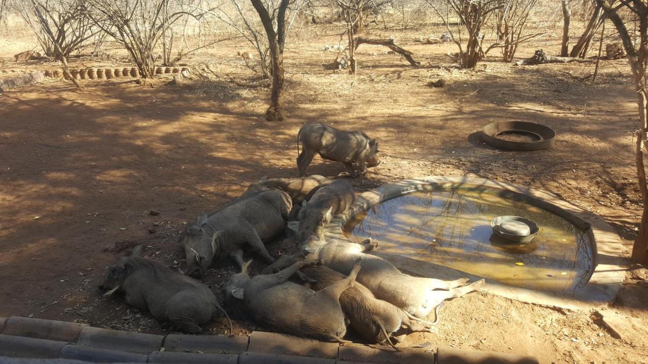 Aloes Bush Stay Hoedspruit Bagian luar foto