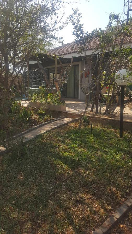 Aloes Bush Stay Hoedspruit Bagian luar foto